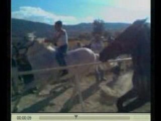Carrera de caballos en Las Trojes, Jalisco, Mexico