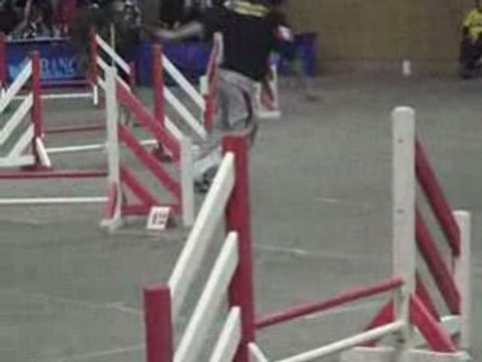 Maxi jump