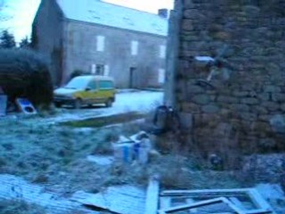 les moutons découvrent le nouveau chien