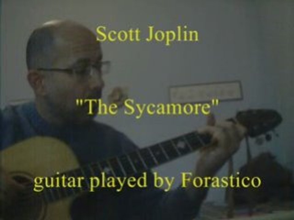 The Sycamore (1904)