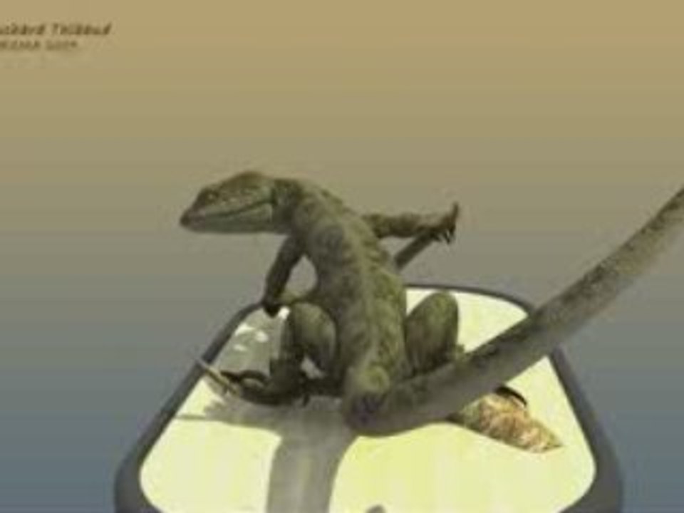 Lezard Rendu Final