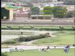 Gran Premio Nacional Augusto B Leguia (Gr1) 110109 (Maitena)