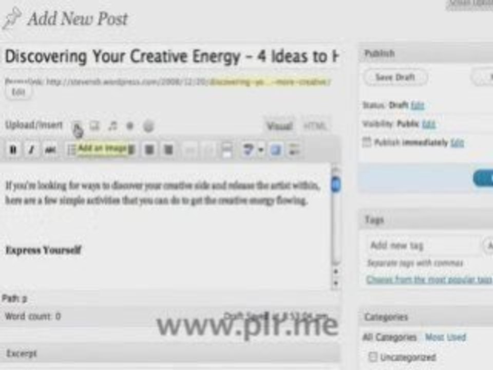 Using-PLR-Articles-in-Wordpress-2.7.mp4.mp4