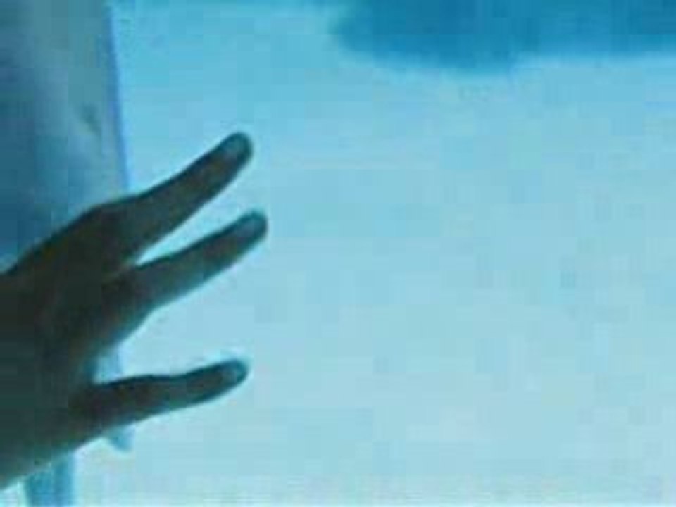 Dauphins qui font des bulles