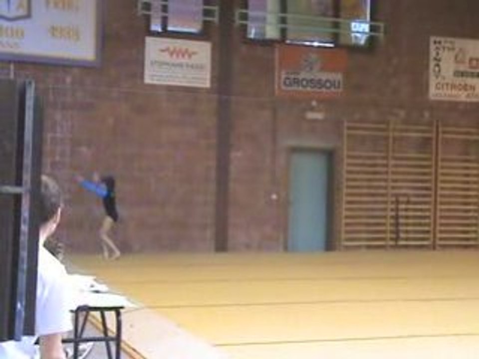 20090131153310