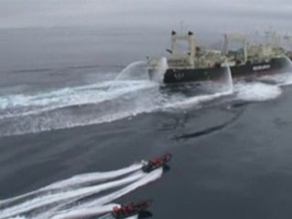 Whalers clash with activists
