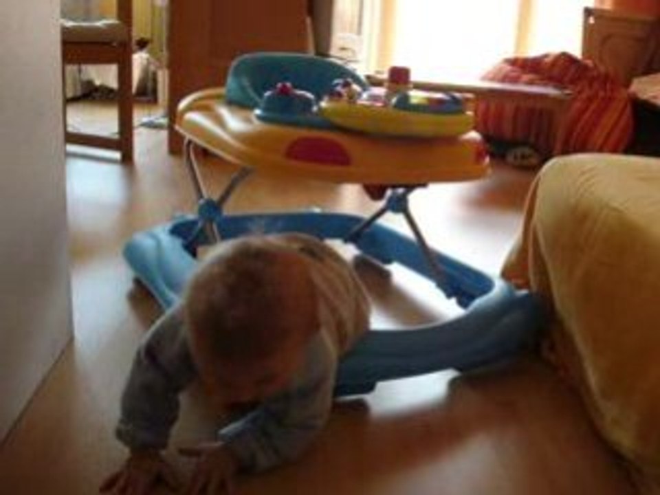 de l'intérêt du trotteur