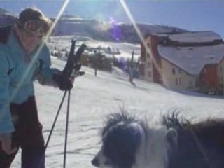 21. Chien des neiges & PBLV