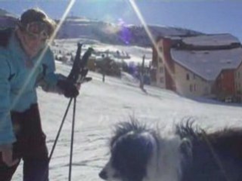 21. Chien des neiges & PBLV