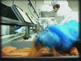 Ocean délices : au coeur de 300 millions de consomateurs !