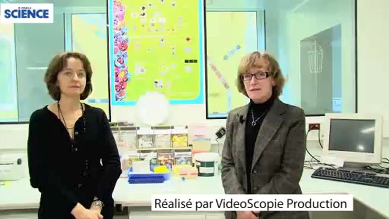 Les limites de la thérapie génique