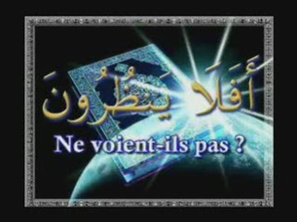 Ne voit il pas .parti 1