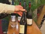 Angers : 23ème Salon des Vins de Loire