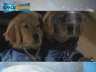 Neil Puppystrong Walks the Moon (New Space Buddies!)