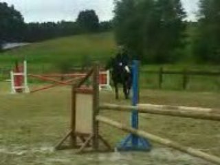 jumping concours