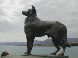 I see collies in a marble of silence