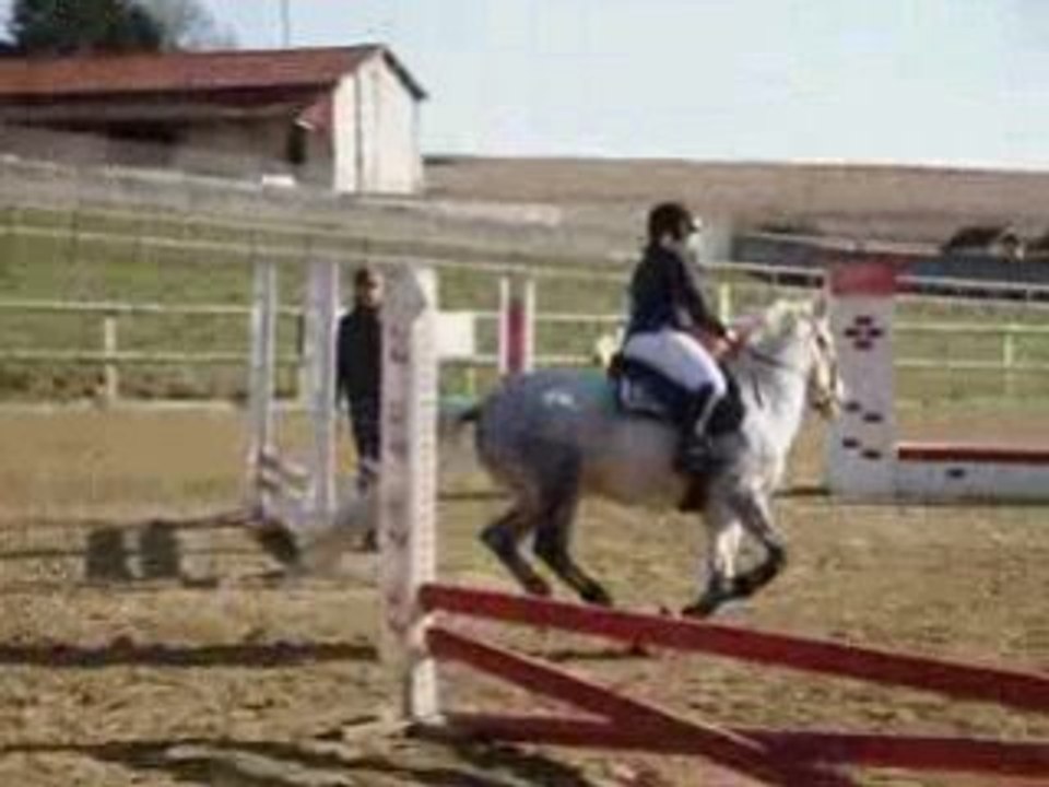Mistoune duisy 60