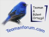 Teoman & Bülent Ortaçgil - Mavi Kuş