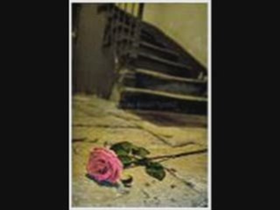 MUSTAFA CİHAT EMRİ OLUR