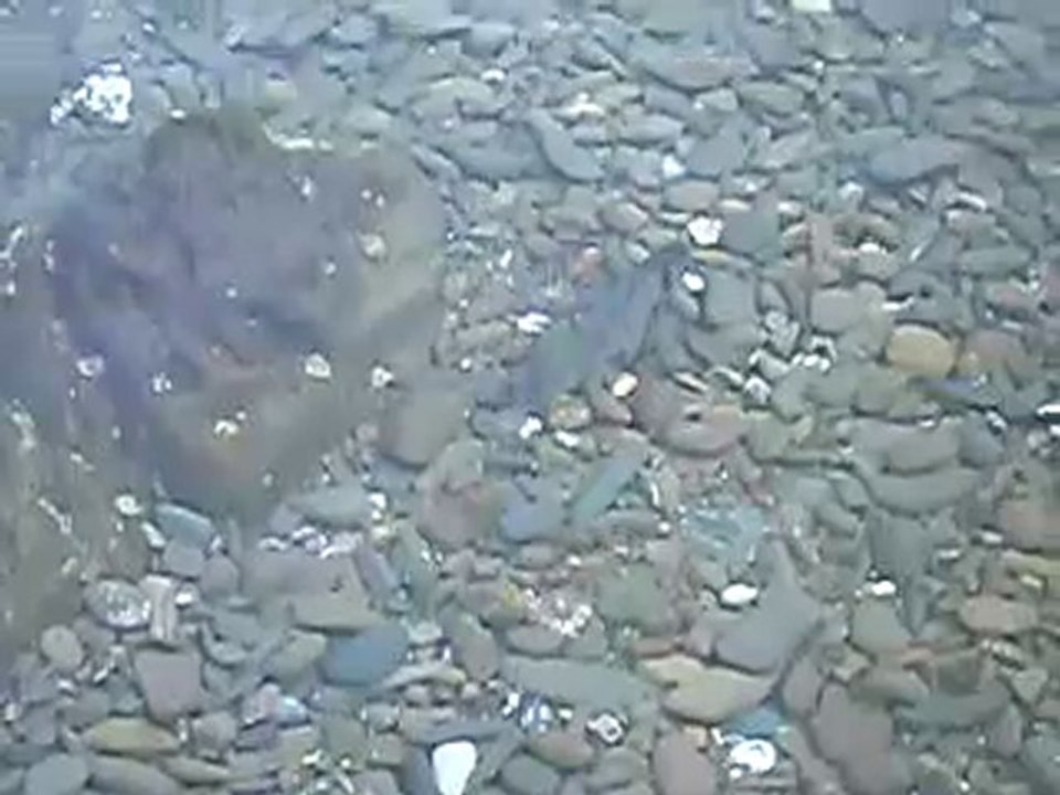 PA200102