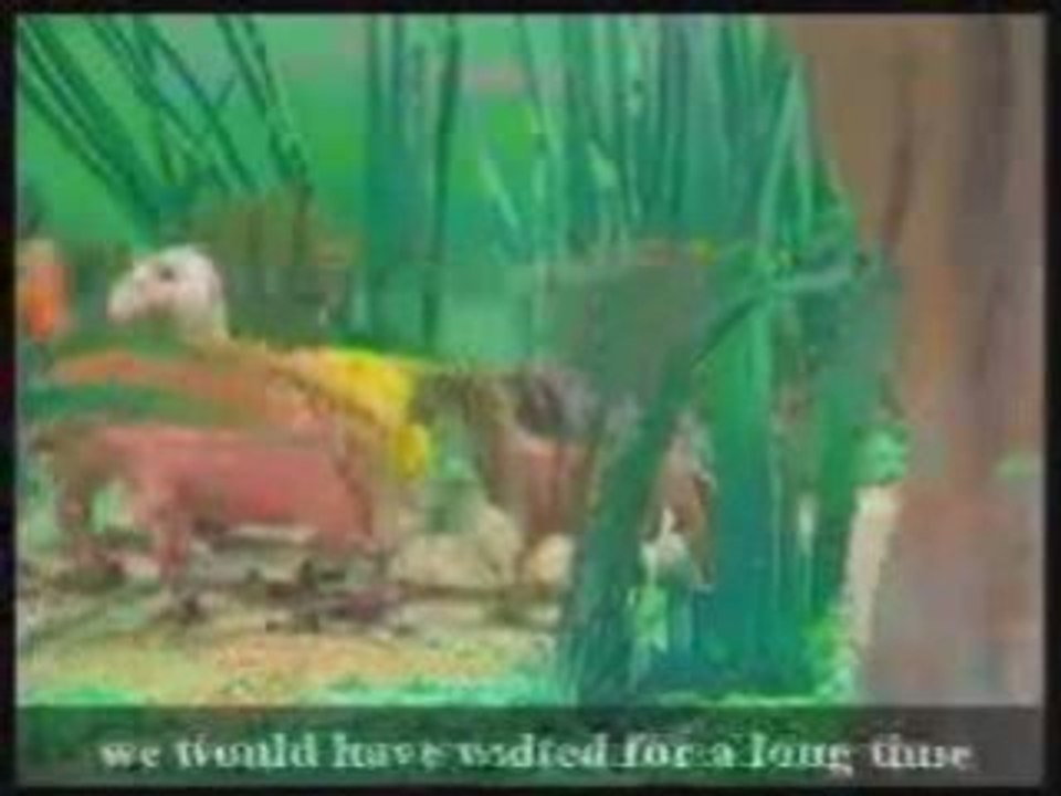 سيدنا موسى عليه السلام