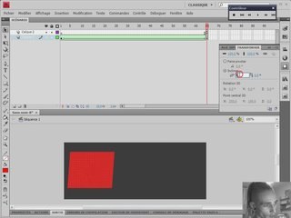 Flash: A la decouverte de flash (débutants)