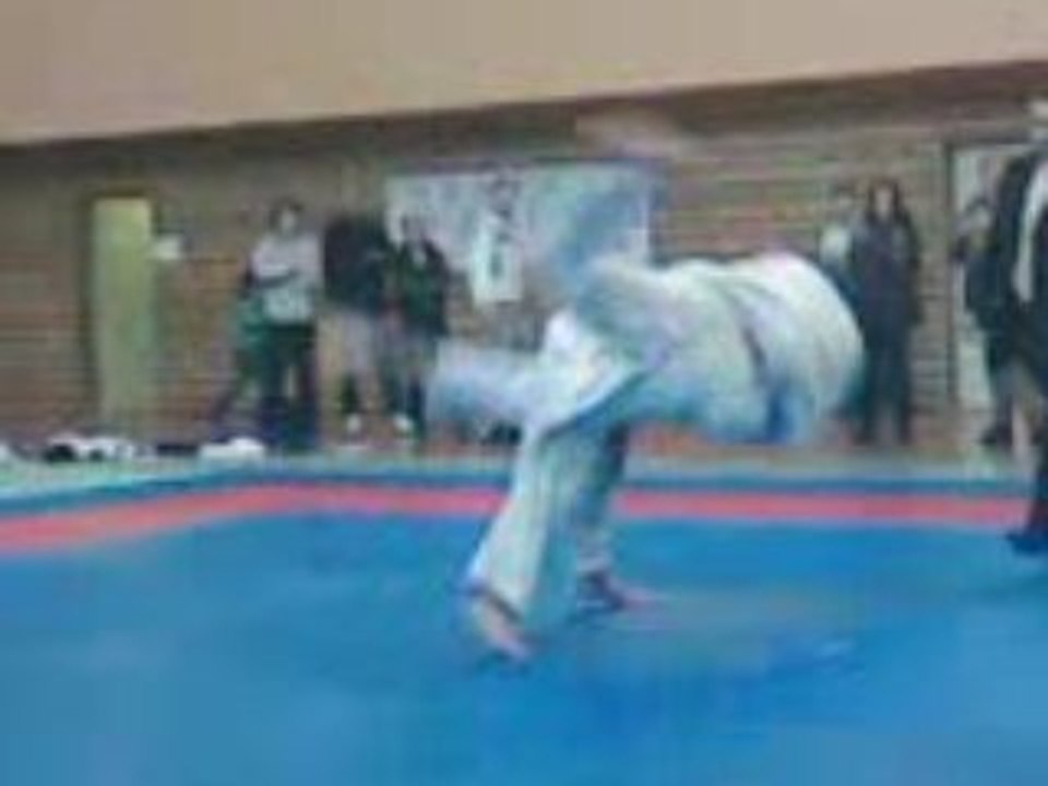IPPON MEH JUDOKA