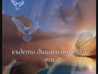 I love you without words (Обичам те без думи)