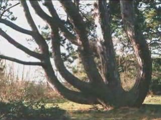 Allah written on things, wonder of allah, wunder islam