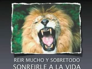 Videos De Motivacion .Com Presenta