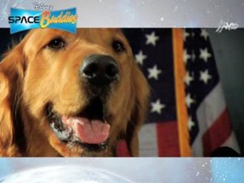 American Puppy - Space Buddies