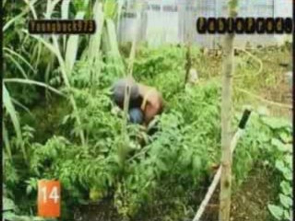 Tiwony  - Prié Jah -