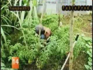 Tiwony  - Prié Jah -