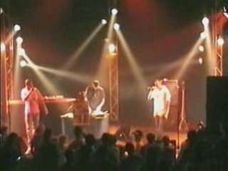 Safi du groupe 2 sang froid