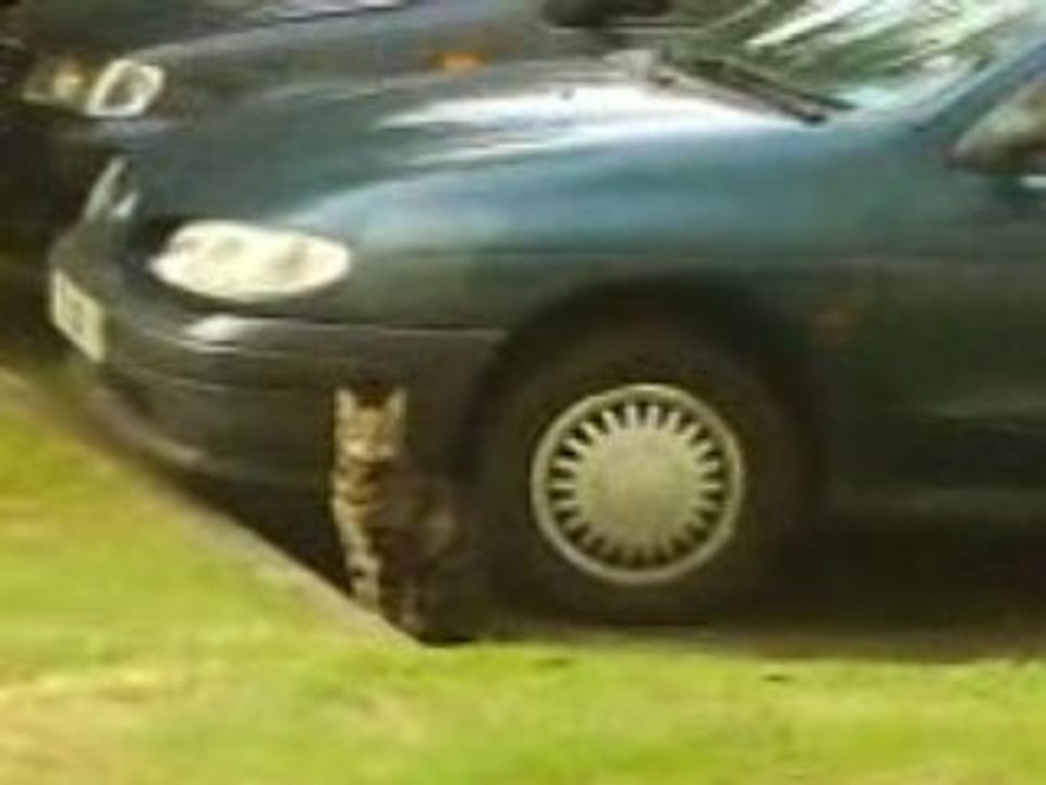MOV00012