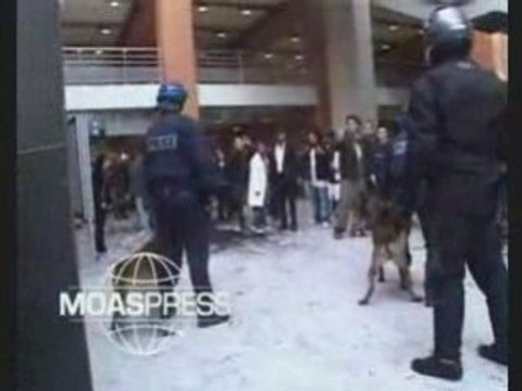 Timide et sans complexe (le feu dans le ghetto 2)old school