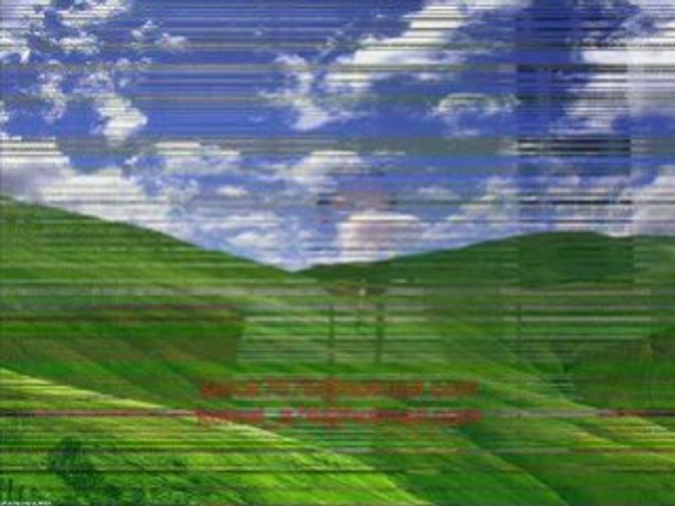 Has müzik 2008