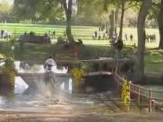 Mondial du Lion 2008