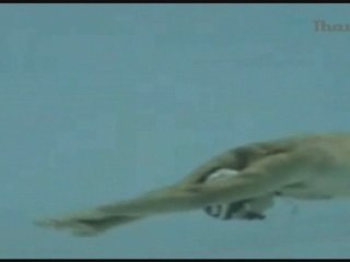 Frédéric Sessa, apnéiste sétois