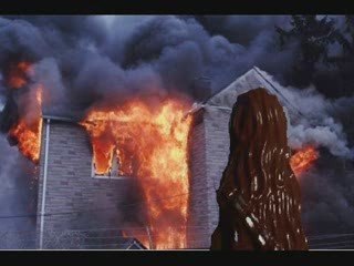 Les petits boulots de chewbacca