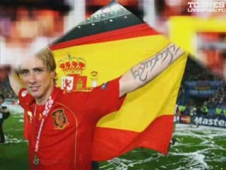 Fernando Torres - The Reds hero