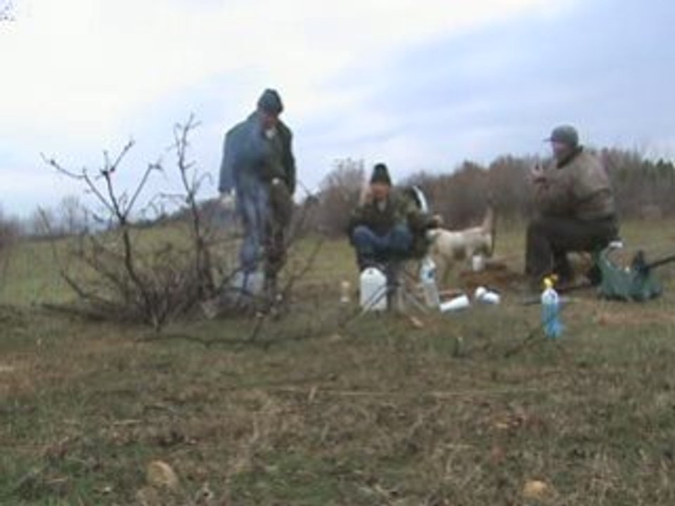 picnic