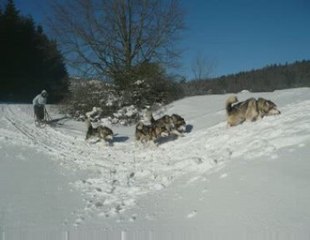 Traineau dans le Vercors