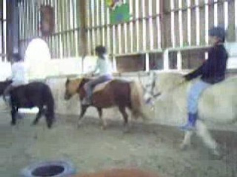 cour poney par mon tit frère