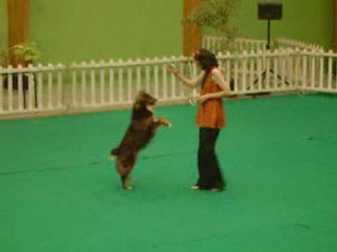 1er concours d'OR avec Brisca - 2ème passage 90,5 points