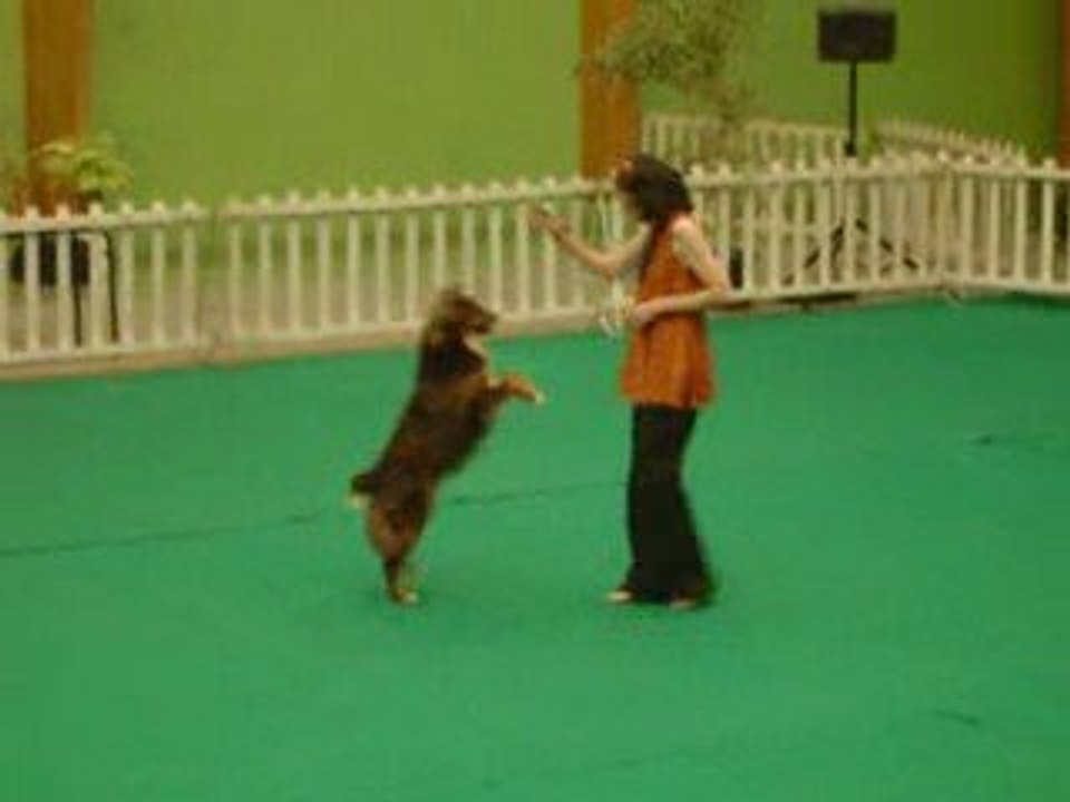 1er concours d'OR avec Brisca - 2ème passage 90,5 points