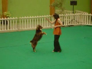 1er concours d'OR avec Brisca - 2ème passage 90,5 points