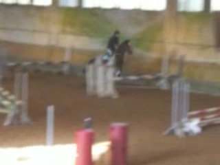 Haras du pin 023
