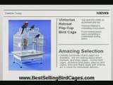 Safe Cages Keep Your Parrot Alive and Healthy