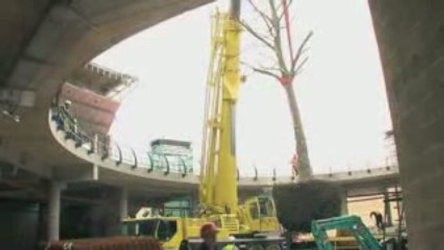 BRL le grand platane d'Odysseum Montpellier